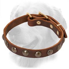 Golden Retriever Leather Collar Brass Studs