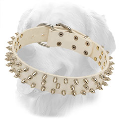 Golden Retriever Leather Collar of White Color