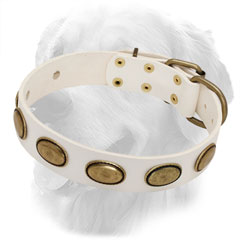 Golden Retriever Leather Collar of White Color