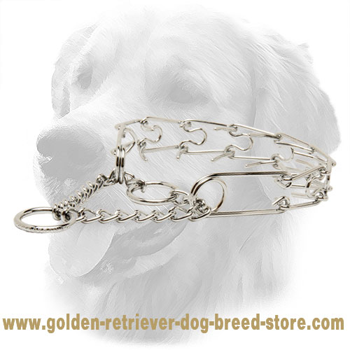 Chrome Plated Golden Retriever Pinch Collar for Behavior Correction
