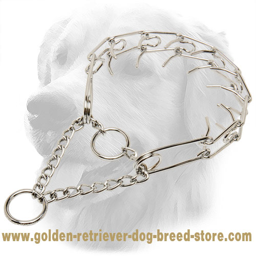 Smooth Chrome Plated Golden Retriever Pinch Collar for Training