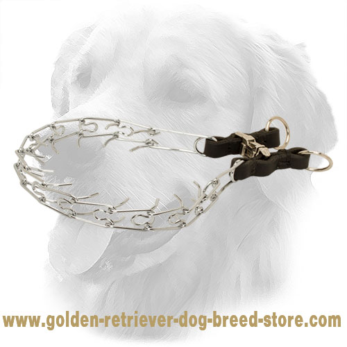Smooth Chrome Plated Golden Retriever Pinch Collar with Leather Part