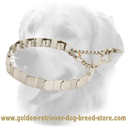 HS Golden Retriever Pinch Collar of High Quality