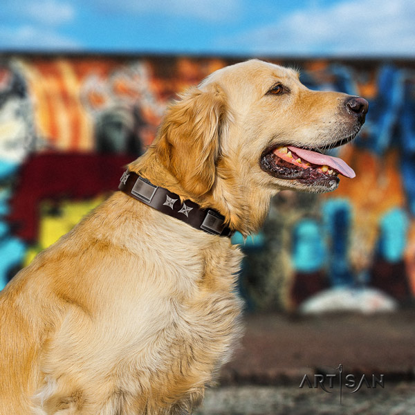 Golden Retriever easy wearing full grain leather collar for your handsome four-legged friend