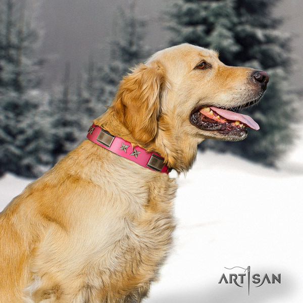 Golden Retriever everyday use full grain natural leather collar for your lovely canine