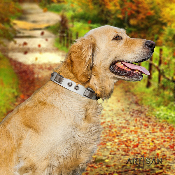 Golden Retriever daily walking full grain genuine leather collar for your attractive pet