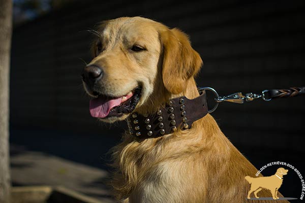 Premium Quality Leather Dog Collar with Cones Set in Rows