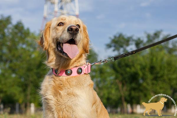 Pink Leather Golden Retriever Collar with Decorative Brooches