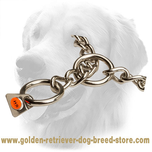 O-Rings on Golden Retriever Choke Collar 