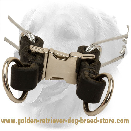 Quick Release Buckle on Chrome Plated Golden Retriever Pinch Collar