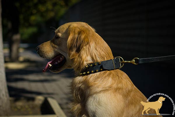 Spiked Leather Dog Collar with Riveted Brass Hardware