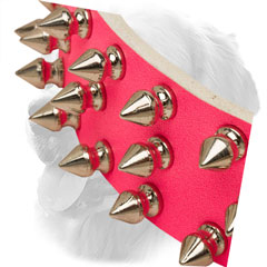 Nickel Spikes on Golden Retriever Leather Collar Steel 