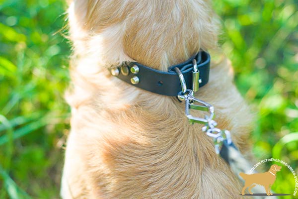 Vintage Golden Retriever Collar with Durable Hardware