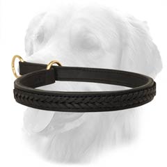Oiled Leather Choke Collar