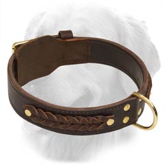 Golden Retriever Collar With Brass Hardware