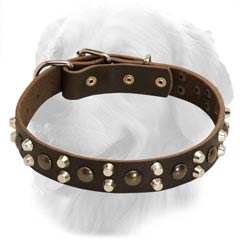 Golden Retriever Stylish Leather Collar