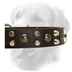 Golden Retriever Collar With Studs And Pyramids