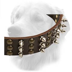 Golden Retriever Spiked And Studded Collar