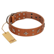 "Dreamy Gleam" FDT Artisan Tan Leather Golden Retriever Collar Adorned with Stars and Squares