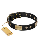 "Antique Gloss" FDT Artisan Black Leather Golden Retriever Collar with Bronze-like Plates and Small Studs
