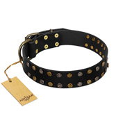 "Star Way" FDT Artisan Black Leather Golden Retriever Collar with Bronze-like and Silver-like Star Studs