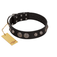 "Tricky Ricky" FDT Artisan Black Leather Golden Retriever Collar Adorned with Silver-Like Conchos