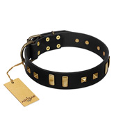 "Fit for Royalty" FDT Artisan Black Leather Golden Retriever Collar with Plates and Small Square Studs