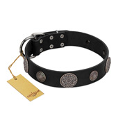 "Ad Infinitum" Durable FDT Artisan Black Leather Golden Retriever Collar with Chrome Plated Brooches