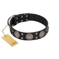 "Sun in Shining" Modern FDT Artisan Black Leather Golden Retriever Collar with Studs and Stars