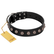 "Bizarre Affection" Designer Handmade FDT Artisan Black Leather Golden Retriever Collar