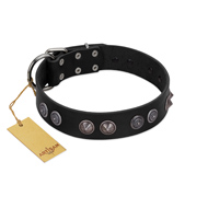 "Silver Medallions" Mod FDT Artisan Black Leather Golden Retriever Collar with Round Plates