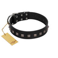"Natural Beauty" Premium Quality FDT Artisan Black Designer Golden Retriever Collar with Dotted Studs