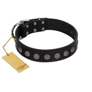 "Silent Star" Handmade FDT Artisan Designer Black Leather Golden Retriever Collar with Engraved Plates