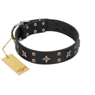 "Star Excitement" Modern FDT Artisan Black Leather Golden Retriever Collar with Studs and Stars