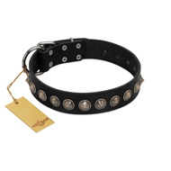 "Black Eagle" Handcrafted FDT Artisan Black Leather Golden Retriever Collar with Silver-Like Adornments