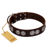 "High and Mighty" FDT Artisan Classy Brown Leather Golden Retriever Collar with Embellished Brooches