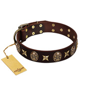 "Captain Hook" FDT Artisan Brown Leather Golden Retriever Collar with Stars and Skulls