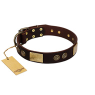 "Bow-Wow Effect" FDT Artisan Brown Leather Golden Retriever Collar with Plates and Ornate Studs