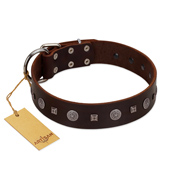"Pure Sensation" Exclusive FDT Artisan Brown Leather Golden Retriever Collar with Fancy Brooches and Studs