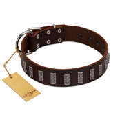 "Brown Lace" Handmade FDT Artisan Brown Leather Golden Retriever Collar for Everyday Walks