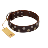 "Shadow Warrior" FDT Artisan Mystic Brown Leather Golden Retriever Collar with Runes