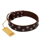 "Blossom Jewel" FDT Artisan Brown Leather Golden Retriever Collar with Two Rows of Silver-like Studs with Engraved Flowers