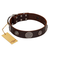"Flashy Woof" FDT Artisan Brown Leather Golden Retriever Collar with Chrome Plated Brooches