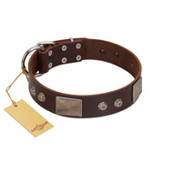 "Stone Stars" Stylish Handmade FDT Artisan Brown Leather Golden Retriever Collar