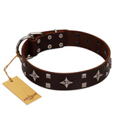 "Trendy Candy" FDT Artisan Brown Leather Golden Retriever Collar Adorned with Stars and Tiny Squares