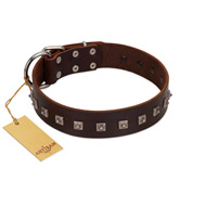 "Kingly Grace" FDT Artisan Brown Leather Golden Retriever Collar with Silver-like Dotted Studs