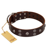 "Skull Valley" Handcrafted FDT Artisan Brown Leather Golden Retriever Collar with Skulls