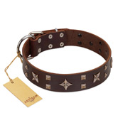 "Stars in Sands" Modern FDT Artisan Brown Leather Golden Retriever Collar with Studs and Stars