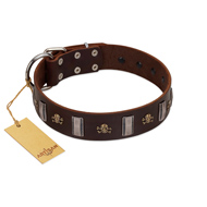 "War Chief" FDT Artisan Genuine Brown Leather Golden Retriever Collar with Skulls and Plates