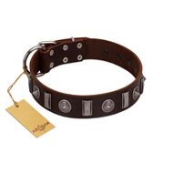 "Spiky Way" FDT Artisan Brown Leather Golden Retriever Collar with Silver-Like Decorations